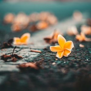 Profile photo of Hazel